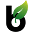 binoidcbd logo
