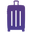 case luggage logo