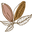 eraofnature.com logo