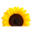 healthproductsforyou.com logo
