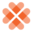 healthyderm.com logo