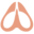 nanoclean logo