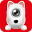 ddpai logo