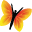 zanducare.com logo